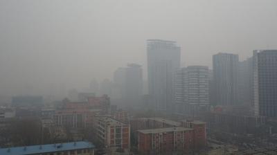 Delhi air pollution: Not in favour of WFH, employees advised to carpool, Centre to SC