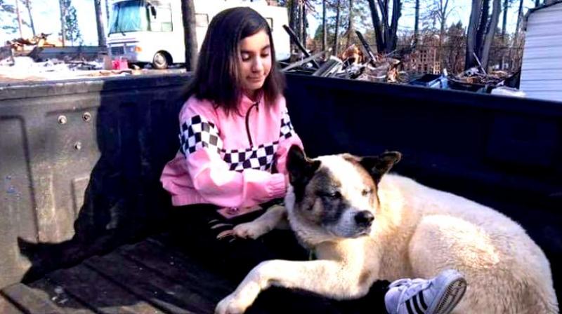 Kingston is being regarded as a true survivor and is a testament to the American spirit. (Photo: AP)