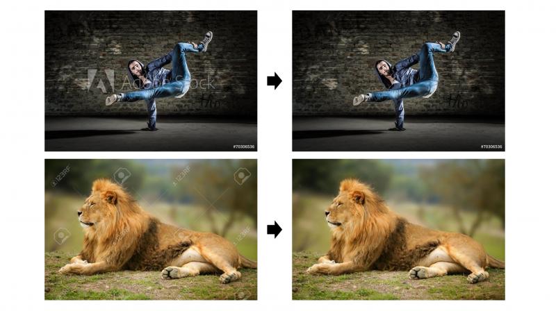 The researchers discovered that all watermarks are remarkably similar in opacity, size and colours.