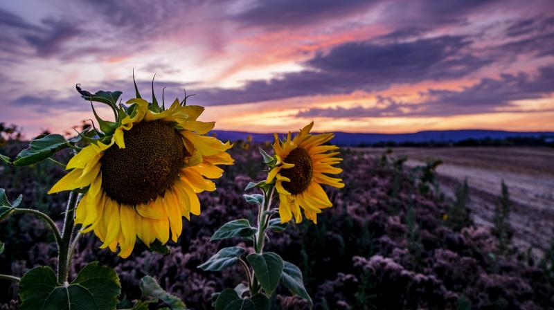 Beautiful vistas of Germany