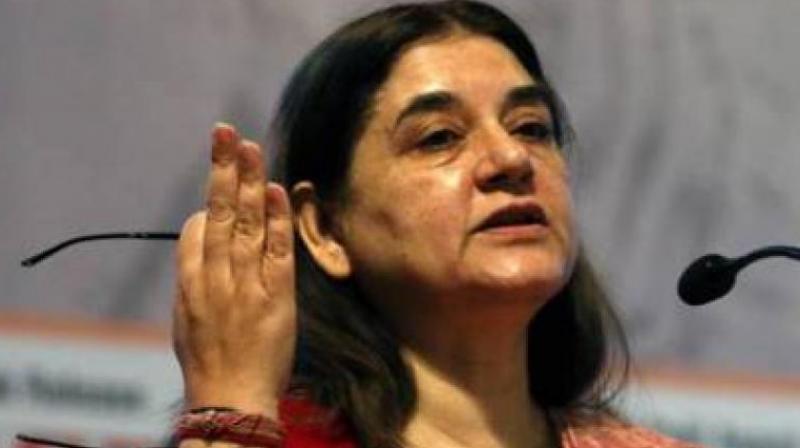 Union Minister Maneka Gandhi (Photo: PTI)