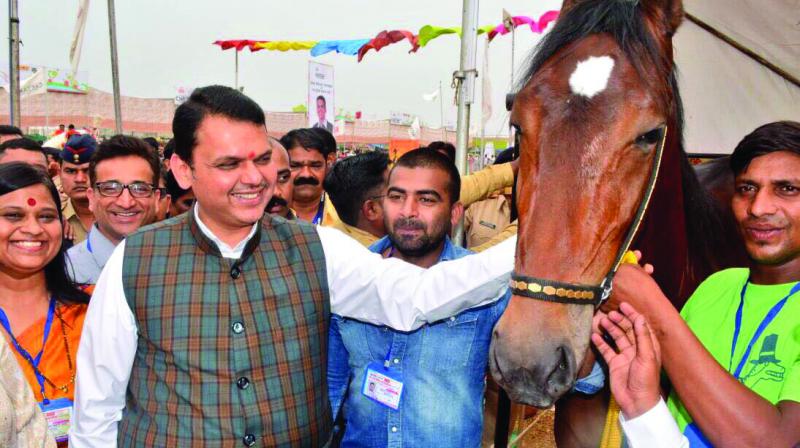 The Ashva Sangharalaya will have information on horses from ancient times to the present era.