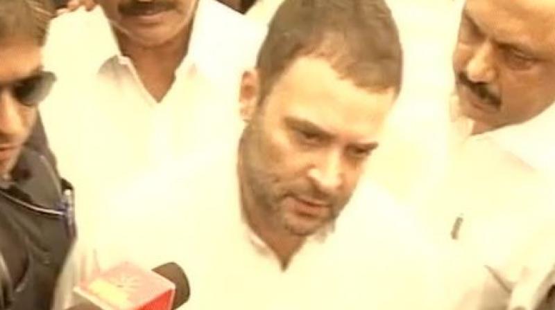 Congress vice president Rahul Gandhi (Photo: ANI | Twitter)