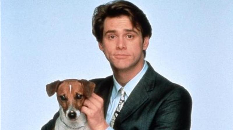 Russian family gets plastic surgery for their dog