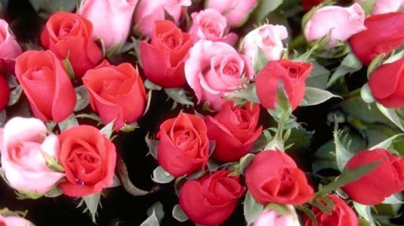 The rose was in appreciation of their decision to follow traffic rules and wear helmets. (Representational image) The rose was in appreciation of their decision to follow traffic rules and wear helmets. (Representational image)