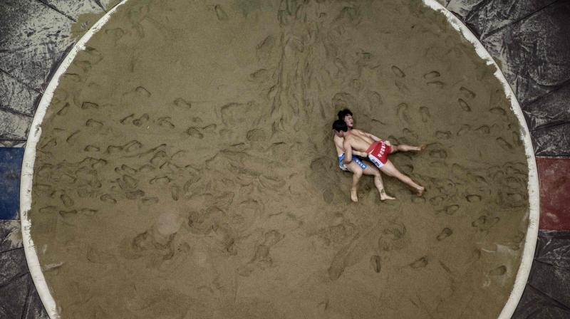 Korean ssireum festival held in Andong