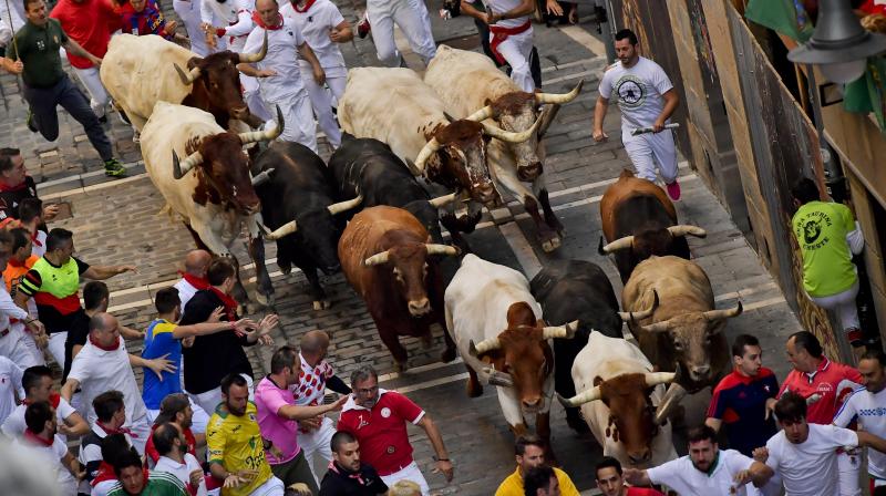 Running of the Bulls at the San Fermin Festival