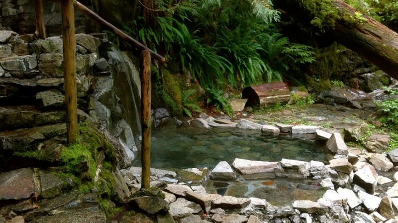 Scott had reached down to check the temperature of a spring when he slipped and fell into it. (Photo: Representational Image)