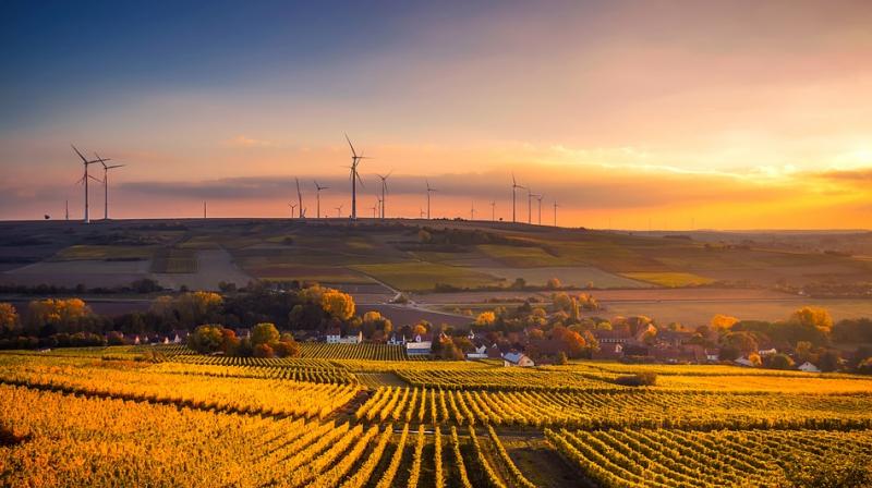 While the winegrowers are the honorees, the festival is really a celebration of Switzerland and its amazing natural environment, featuring each of the countrys 26 cantons. (Photo: Representational/Pixabay)