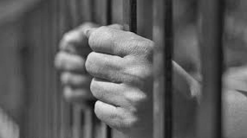 The screen shot posted by Fontanka showed the ad on popular website Avito.ru which seems to depict a grey-haired man reclining on a couch in a plaid shirt. (Representational Image)