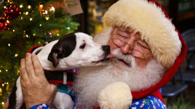Christmas is an annual festival, commemorating the birth of Jesus Christ observed primarily on December 25 as a religious and cultural celebration around the world. (Photos: AP)