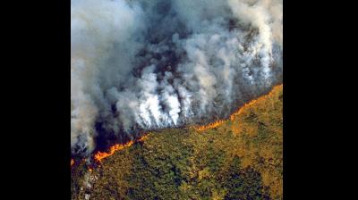 Five Things We Must Know About The Burning Amazon Rainforest