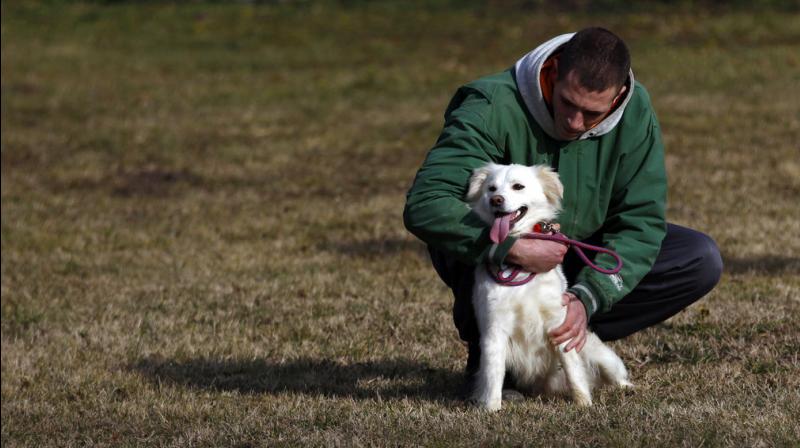 Inmates in Serbian prison care for stray mutts while serving time