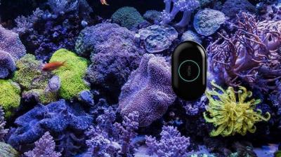 automatic aquarium cleaner