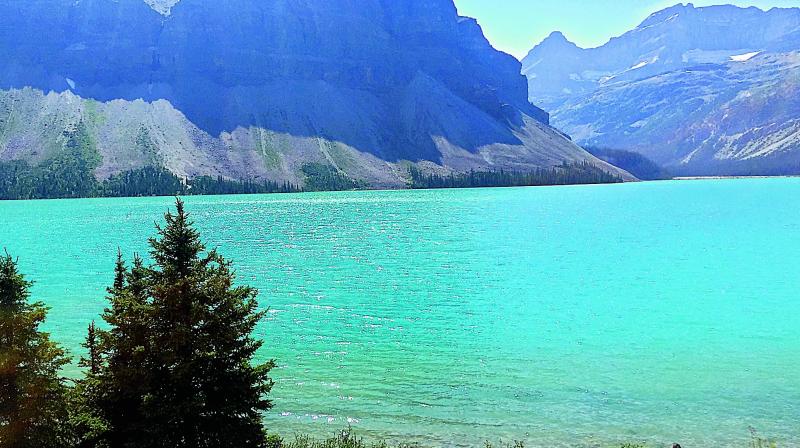 Crowsfoot Glacier and many others are dotted with ice blue glacial lakes on the way to Jasper.