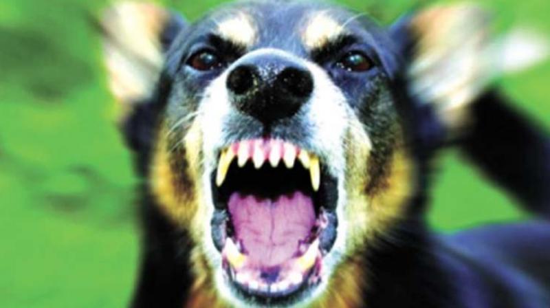 (Representational image)