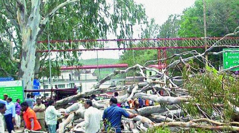 (Representational image)