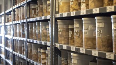 Scientists diversify research on Alzheimer's drug - The Asian Age