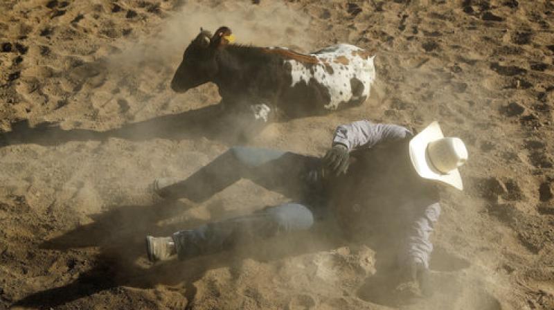 US: Rodeo stars gear up for the International Gay Rodeo in Las Vegas
