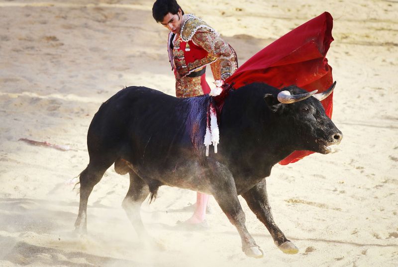 A matador competes with a bull at a sold-out bullfight on April 8, 2018 in Tijuana, Mexico. The most famous of them all is Embalse de Toros. (Photo: AFP) A matador competes with a bull at a sold-out bullfight on April 8, 2018 in Tijuana, Mexico. The most famous of them all is Embalse de Toros. (Photo: AFP)