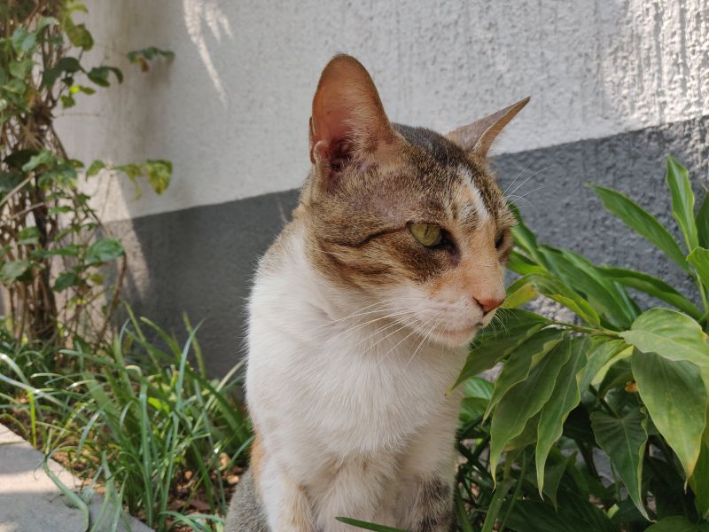 OnePlus 6T camera sample OnePlus 6T camera sample