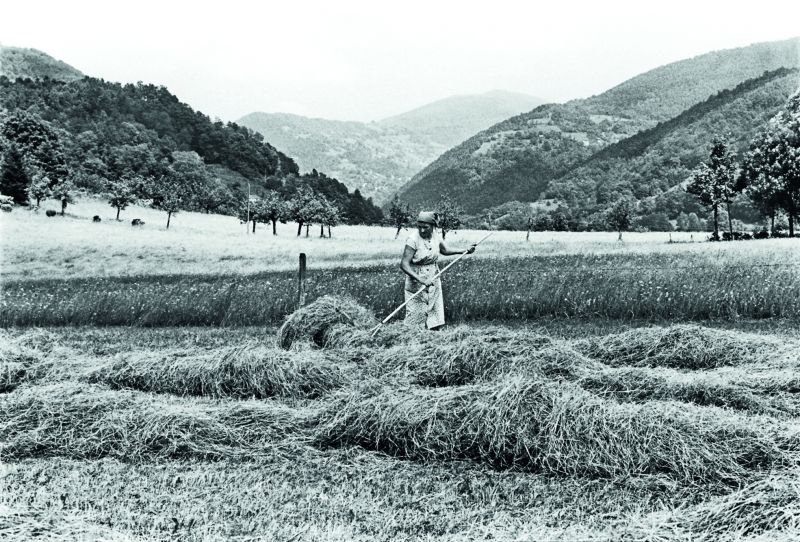 A lady in France