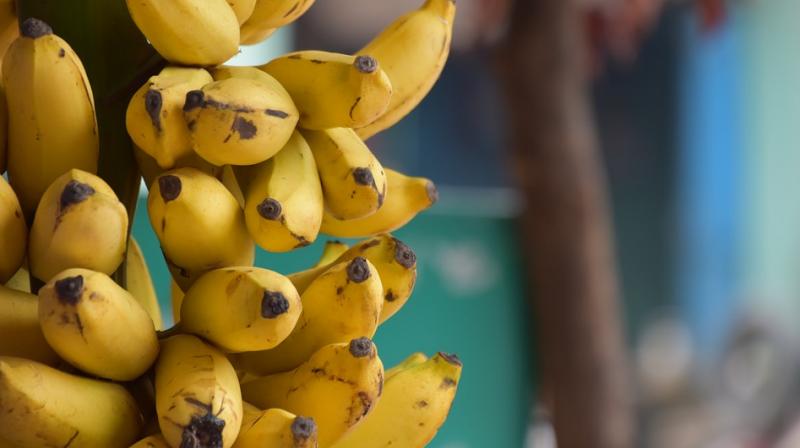 ‘Operation Banana’ concluded successfully on Wednesday morning. (Representational Image) ‘Operation Banana’ concluded successfully on Wednesday morning. (Representational Image)