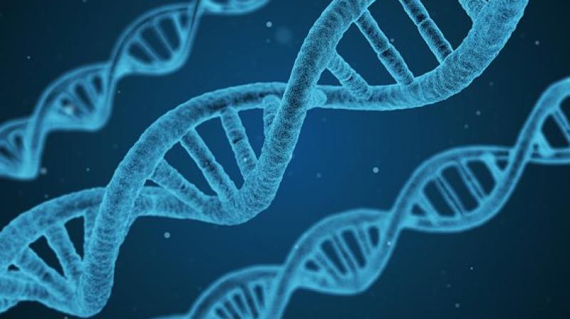 Huntington’s is a progressive neurodegenerative disease affecting mental abilities and physical control. (Photo: Pixabay) Huntington’s is a progressive neurodegenerative disease affecting mental abilities and physical control. (Photo: Pixabay)