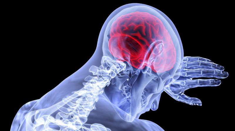 The effects of nicotine are dependent on the initial state of a person's cognitive functioning. (Photo: Representational/Pixabay) The effects of nicotine are dependent on the initial state of a person's cognitive functioning. (Photo: Representational/Pixabay)