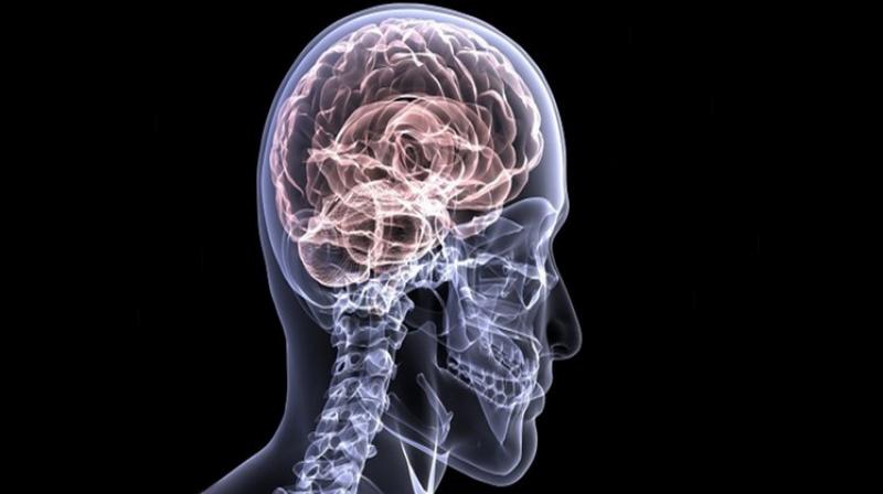 Researchers analysed a large set of known risk factors for Alzheimer's disease. (Photo: ANI) Researchers analysed a large set of known risk factors for Alzheimer's disease. (Photo: ANI)