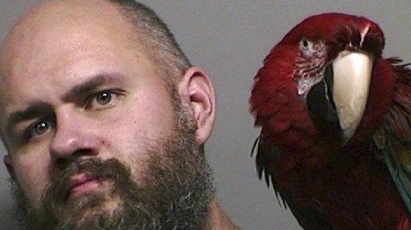 Man reunited with companion parrot in mug shot. (Photo: Washington County Sheriff's office) Man reunited with companion parrot in mug shot. (Photo: Washington County Sheriff's office)