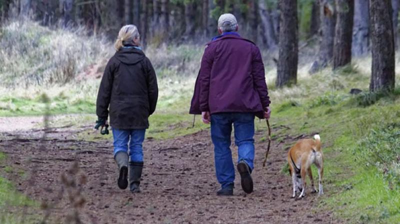 Regular physicla exercise proves to be beneficial to dialysis patients. (Photo: Pixabay) Regular physicla exercise proves to be beneficial to dialysis patients. (Photo: Pixabay)