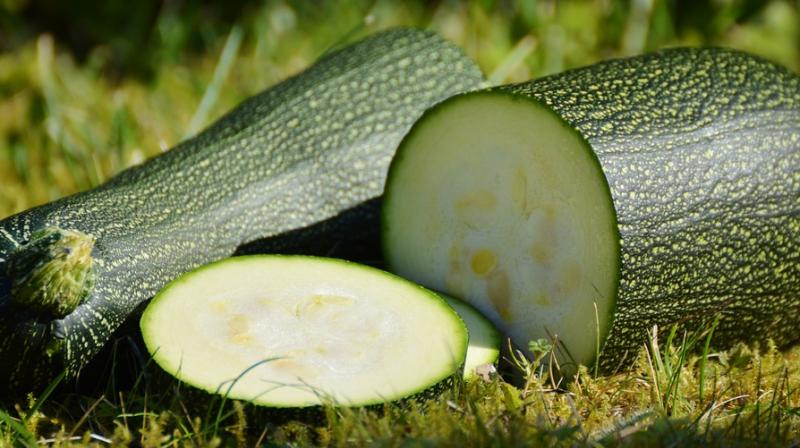 Man calls police after he mistakes zucchini for WWII bomb. (Photo: Pixabay) Man calls police after he mistakes zucchini for WWII bomb. (Photo: Pixabay)