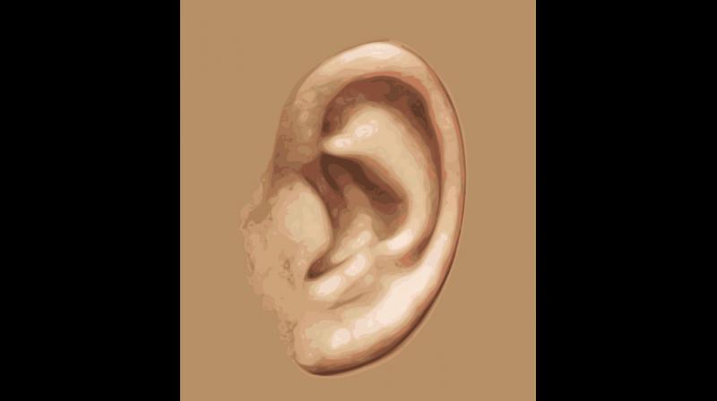 Study links untreated hearing loss to cognitive decline in older adults. (Photo: Pixabay) Study links untreated hearing loss to cognitive decline in older adults. (Photo: Pixabay)