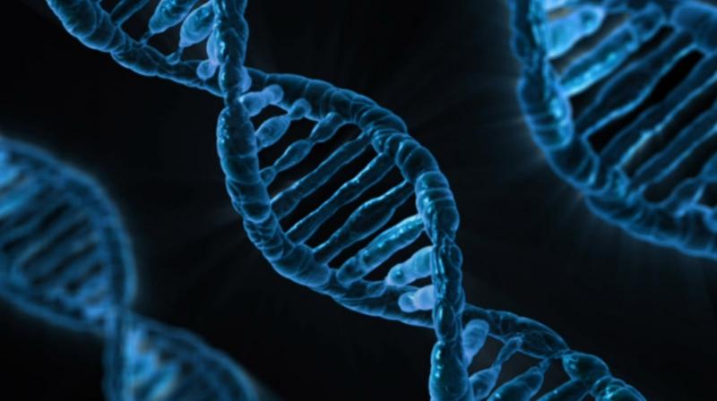 Non-inherited DNA errors could cause dementia. (Photo: Pixabay) Non-inherited DNA errors could cause dementia. (Photo: Pixabay)