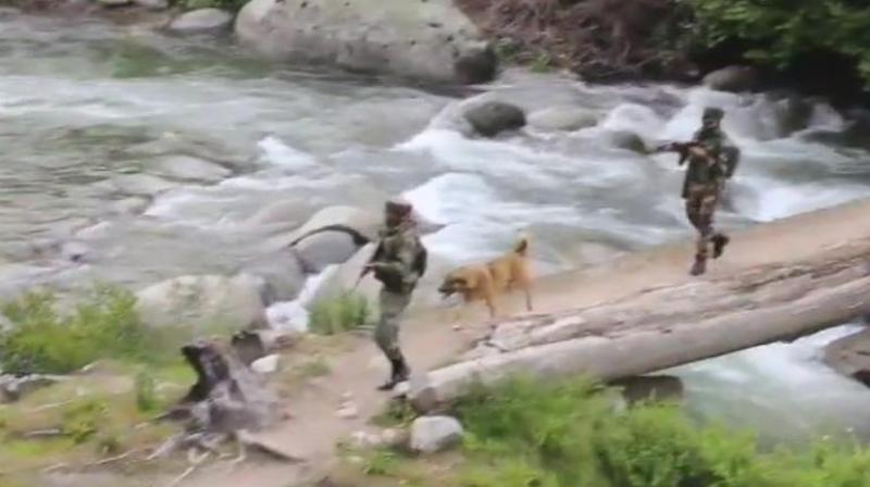 Ongoing operation in Bandipora's Panar forest area. (Photo: Twitter/ANI) Ongoing operation in Bandipora's Panar forest area. (Photo: Twitter/ANI)