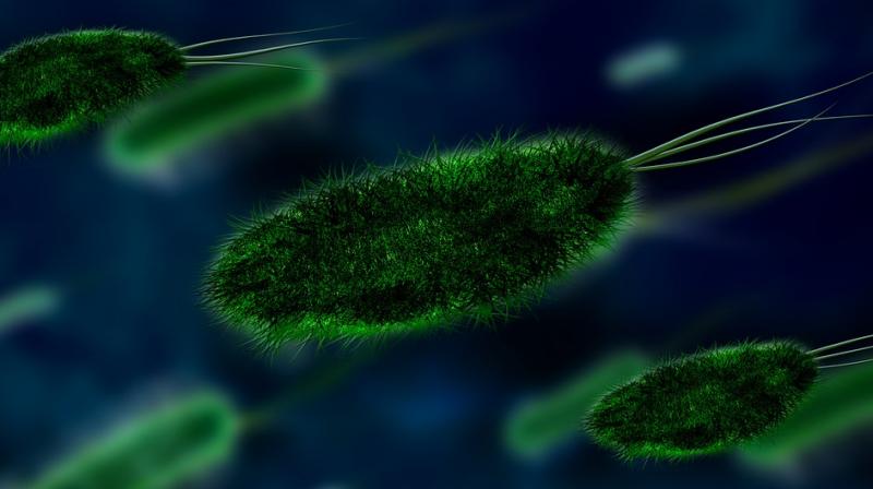 Genital tuberculosis is a prominent factor for infertility not only in females but also in males. (Photo: Pixabay) Genital tuberculosis is a prominent factor for infertility not only in females but also in males. (Photo: Pixabay)