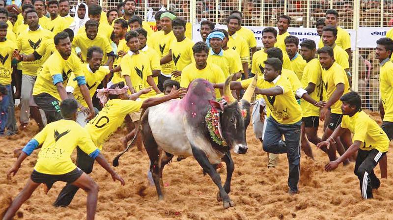 Besides Animal Welfare Board, the Federation of Indian Animal Protection Organisations (FIAPO) and Compassion Unlimited Plus Action (CUPA) filed the present petitions. Besides Animal Welfare Board, the Federation of Indian Animal Protection Organisations (FIAPO) and Compassion Unlimited Plus Action (CUPA) filed the present petitions.