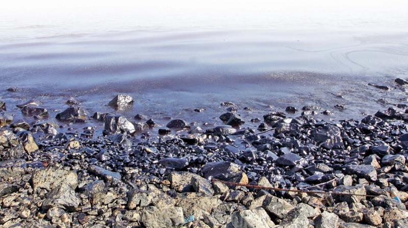 Many countries, including Japan, have seen plastic waste pile up in the wake of the ban. (Photo: File) Many countries, including Japan, have seen plastic waste pile up in the wake of the ban. (Photo: File)
