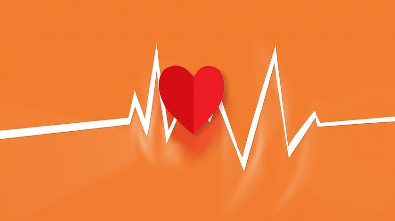 Researchers reveal human stem cells could restore function in primate heart-failures. (Photo: Pixabay) Researchers reveal human stem cells could restore function in primate heart-failures. (Photo: Pixabay)