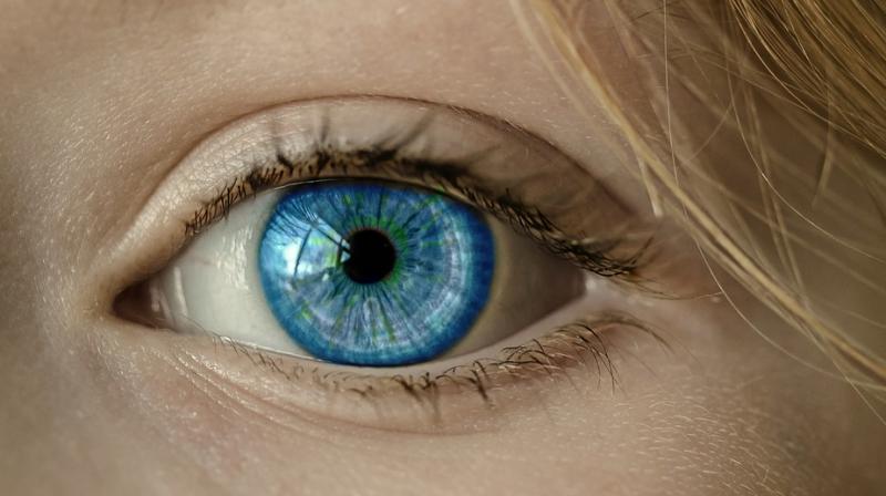 Scientists develop gene therapy that could restore partial vision. (Photo: Pixabay) Scientists develop gene therapy that could restore partial vision. (Photo: Pixabay)