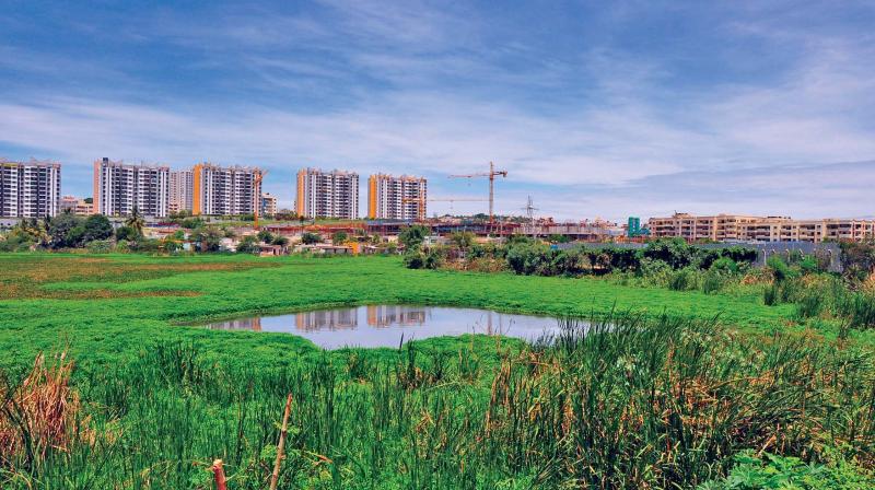 The Water Quality Index’s data for April, released by the Karnataka State Pollution Control Board (KSPCB), only serves to confirm this. Shining examples of lake rejuvenation – Madiwala and Jakkur, confirmed to Class D, while Puttenahalli lake in JP Nagar falls under Class E. The Water Quality Index’s data for April, released by the Karnataka State Pollution Control Board (KSPCB), only serves to confirm this. Shining examples of lake rejuvenation – Madiwala and Jakkur, confirmed to Class D, while Puttenahalli lake in JP Nagar falls under Class E.