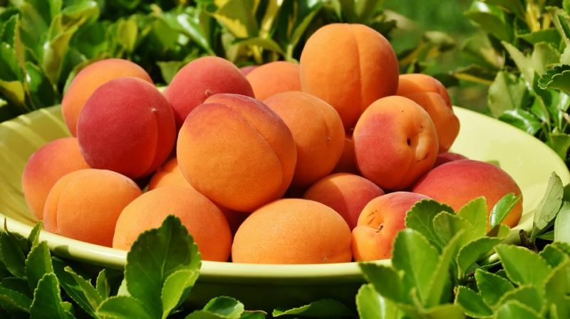 For people looking for a tasty and convenient way to eat their way to beautiful, glowing skin, peaches are the answer (Photo: Pixabay) For people looking for a tasty and convenient way to eat their way to beautiful, glowing skin, peaches are the answer (Photo: Pixabay)