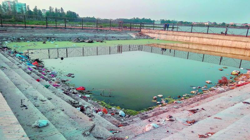 Uncleared baby ponds have become breeding grounds for mosquitoes. Uncleared baby ponds have become breeding grounds for mosquitoes.
