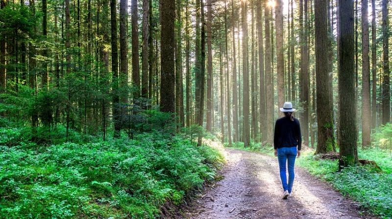 Researchers say walking fast could help you live longer. (Photo: Pixabay) Researchers say walking fast could help you live longer. (Photo: Pixabay)