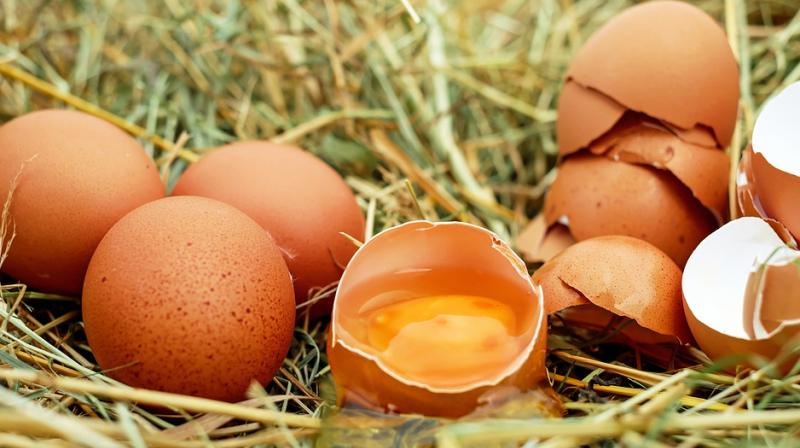 Eggs don't raise risk of heart disease. (Photo: Pexels) Eggs don't raise risk of heart disease. (Photo: Pexels)