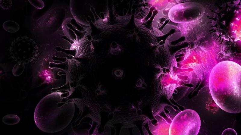 HIV excels at evading the immune system by hiding out in certain immune cells. (Photo: Pixabay) HIV excels at evading the immune system by hiding out in certain immune cells. (Photo: Pixabay)