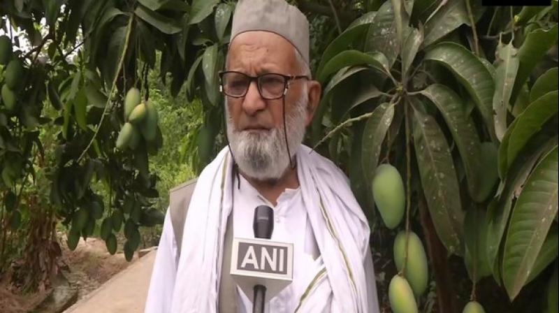 He said that these new variety mangoes will soon ripen and the variety with similar characteristics to that of the minister would be given his name. (Photo: ANI) He said that these new variety mangoes will soon ripen and the variety with similar characteristics to that of the minister would be given his name. (Photo: ANI)