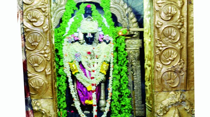 Lord Chennakesava dressed in Tulasi leaves. Lord Chennakesava dressed in Tulasi leaves.