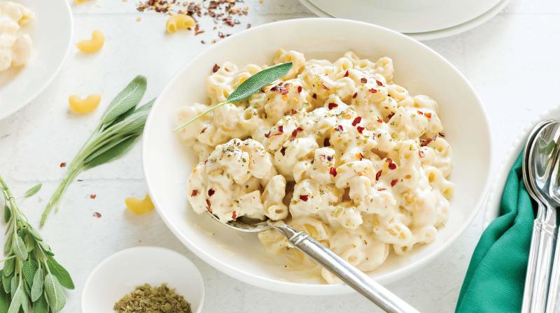 Chifferi Rigati With Cheese Chifferi Rigati With Cheese